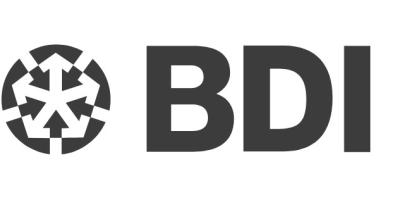 BDI - Update Steuer- und Finanzpolitik (Stand Januar 2025)